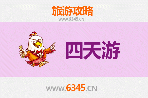 楚雄南华四天三夜深度游攻略：探秘野生菌王国与彝族文化